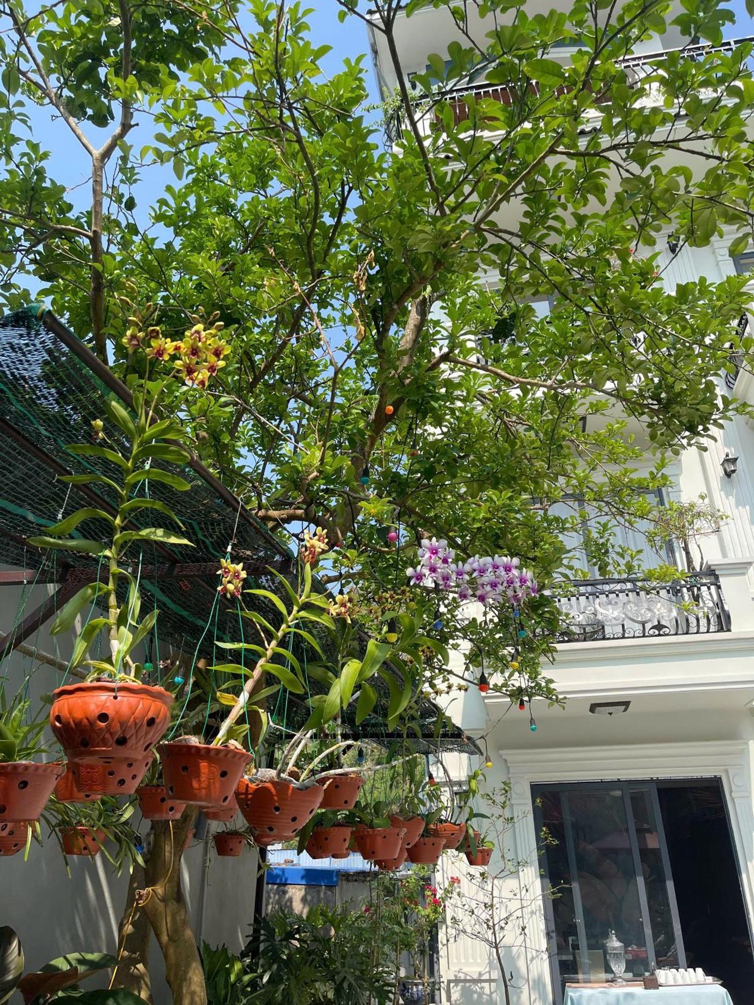 Lynh'S Villa Dong Khe Sau Екстер'єр фото